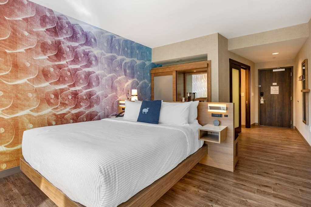 Cambria Hotel Manchester South Windsor Quarto foto